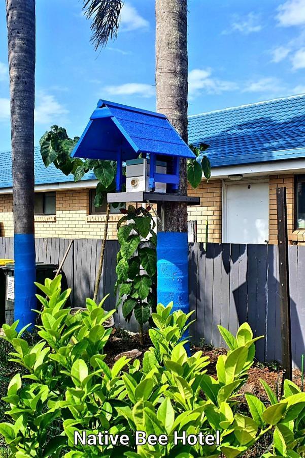 City Lights Motel Tweed Heads Bagian luar foto